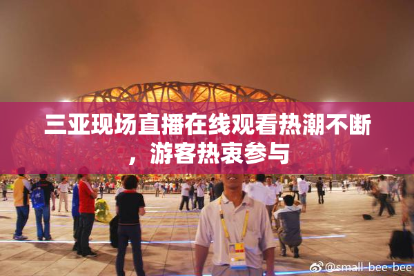 三亚现场直播在线观看热潮不断，游客热衷参与