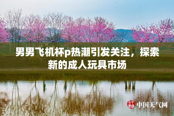 男男飞机杯p热潮引发关注，探索新的成人玩具市场
