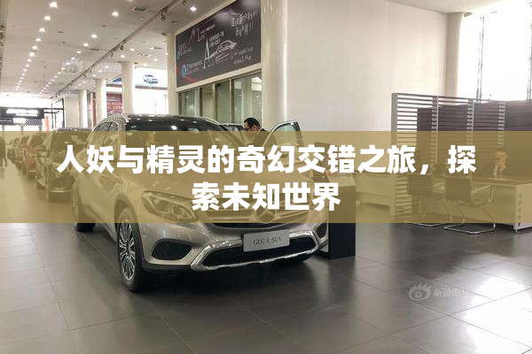 人妖与精灵的奇幻交错之旅，探索未知世界