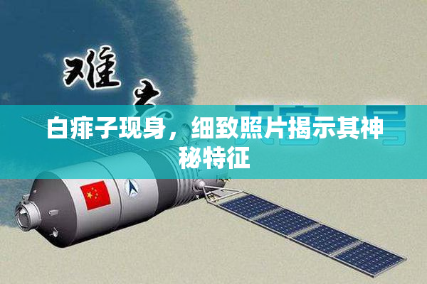白痱子现身，细致照片揭示其神秘特征