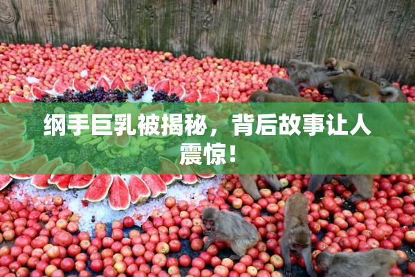纲手巨乳被揭秘，背后故事让人震惊！