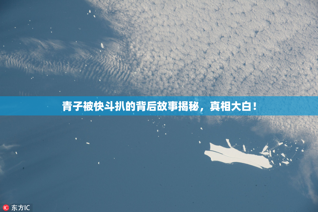 青子被快斗扒的背后故事揭秘，真相大白！
