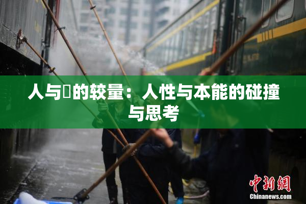 人与嘼的较量：人性与本能的碰撞与思考