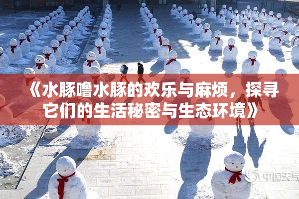 《水豚噜水豚的欢乐与麻烦，探寻它们的生活秘密与生态环境》