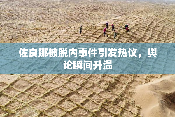 佐良娜被脱内事件引发热议，舆论瞬间升温