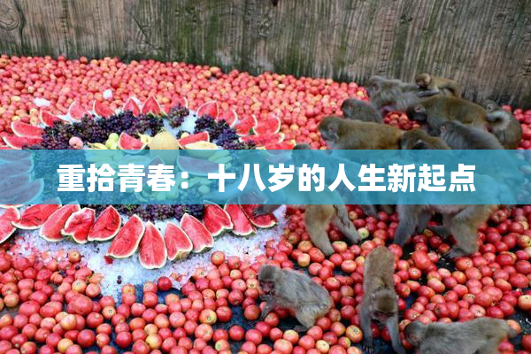 重拾青春：十八岁的人生新起点