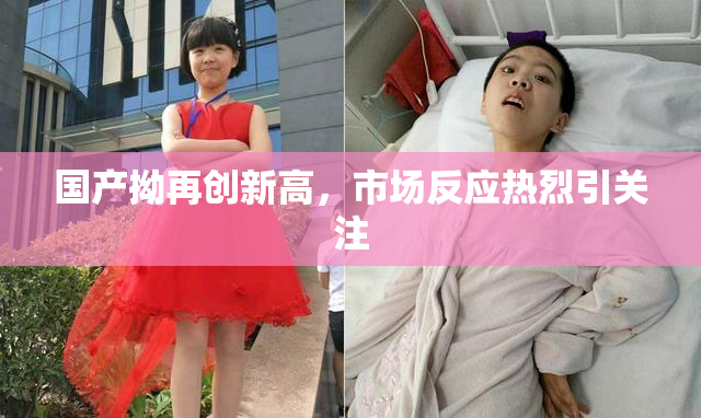 国产拗再创新高，市场反应热烈引关注