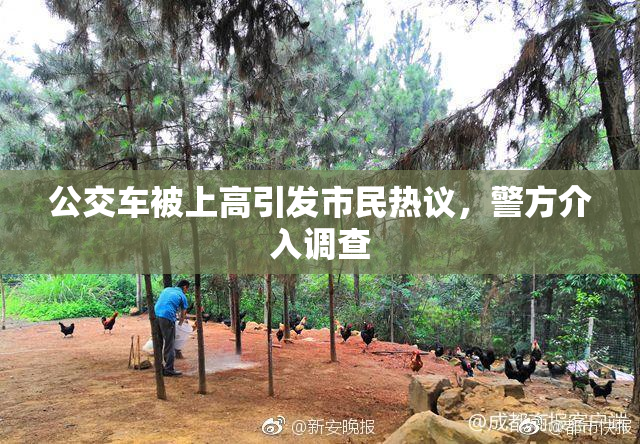 公交车被上高引发市民热议，警方介入调查