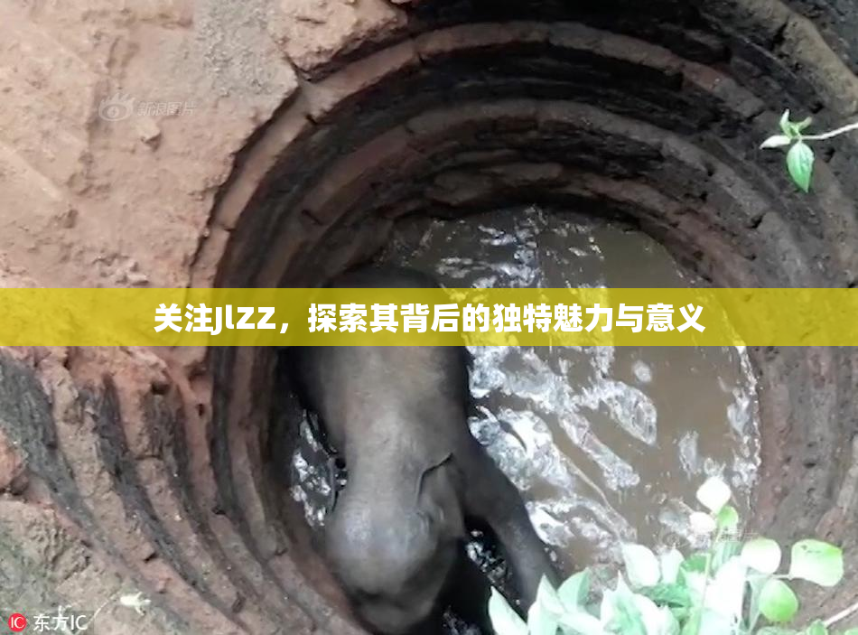 关注JlZZ，探索其背后的独特魅力与意义