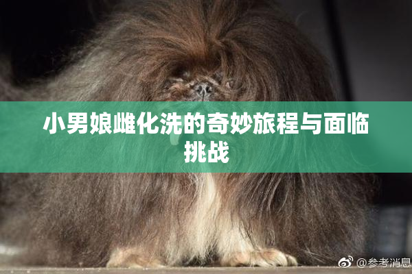 小男娘雌化洗的奇妙旅程与面临挑战