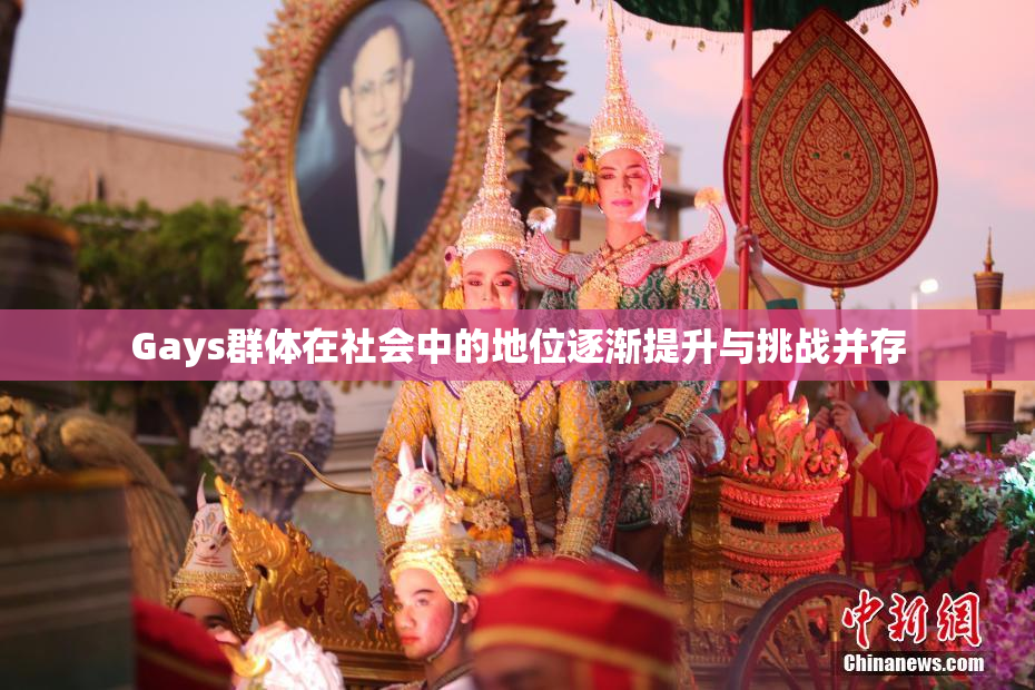 Gays群体在社会中的地位逐渐提升与挑战并存