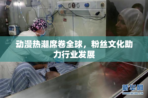 动漫热潮席卷全球，粉丝文化助力行业发展