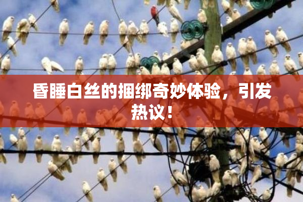 昏睡白丝的捆绑奇妙体验，引发热议！