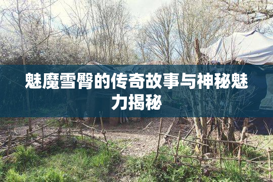 魅魔雪臀的传奇故事与神秘魅力揭秘