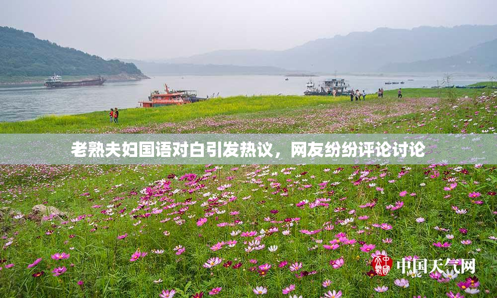 老熟夫妇国语对白引发热议，网友纷纷评论讨论