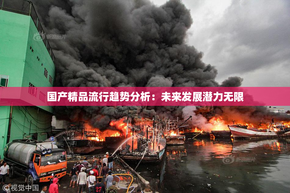国产精品流行趋势分析：未来发展潜力无限