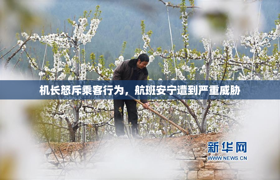 机长怒斥乘客行为，航班安宁遭到严重威胁