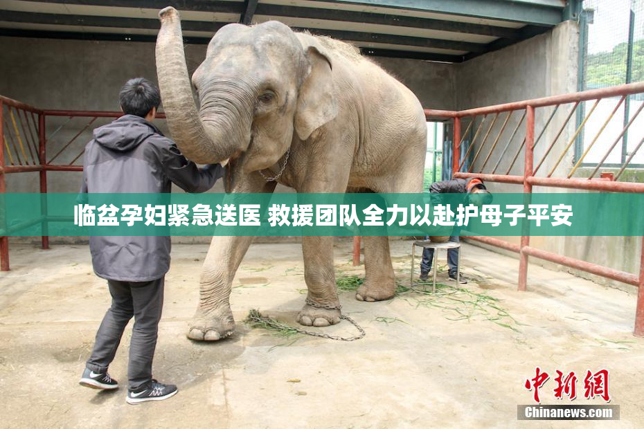 临盆孕妇紧急送医 救援团队全力以赴护母子平安