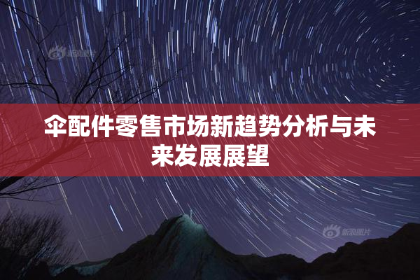 伞配件零售市场新趋势分析与未来发展展望
