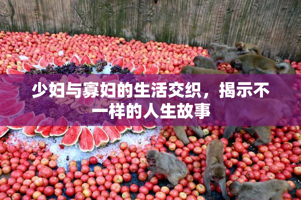 少妇与寡妇的生活交织，揭示不一样的人生故事