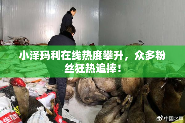 小泽玛利在线热度攀升，众多粉丝狂热追捧！