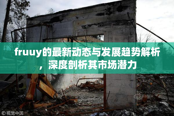 fruuy的最新动态与发展趋势解析，深度剖析其市场潜力