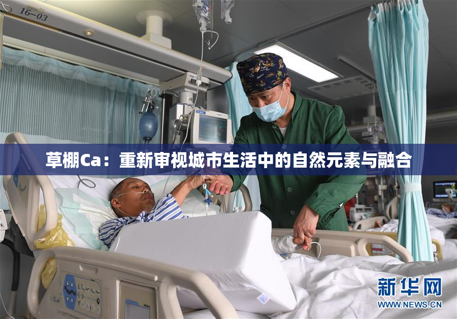 草棚Ca：重新审视城市生活中的自然元素与融合