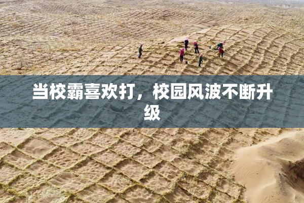 当校霸喜欢打，校园风波不断升级
