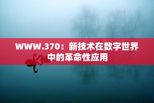 WWW.370：新技术在数字世界中的革命性应用