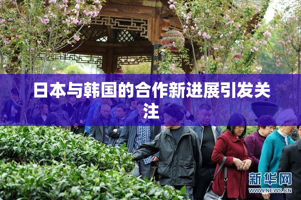 日本与韩国的合作新进展引发关注