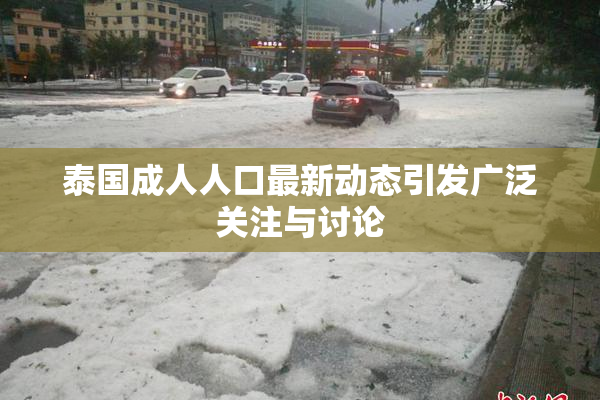 泰国成人人口最新动态引发广泛关注与讨论