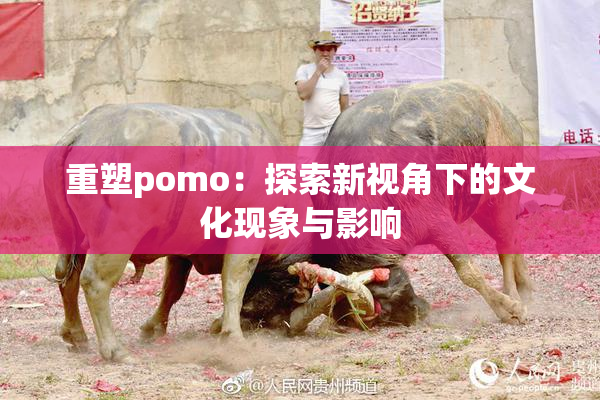 重塑pomo：探索新视角下的文化现象与影响