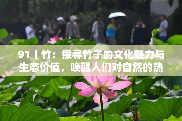 91丨竹：探寻竹子的文化魅力与生态价值，唤醒人们对自然的热爱