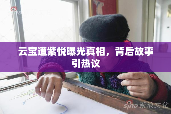 云宝遭紫悦曝光真相，背后故事引热议