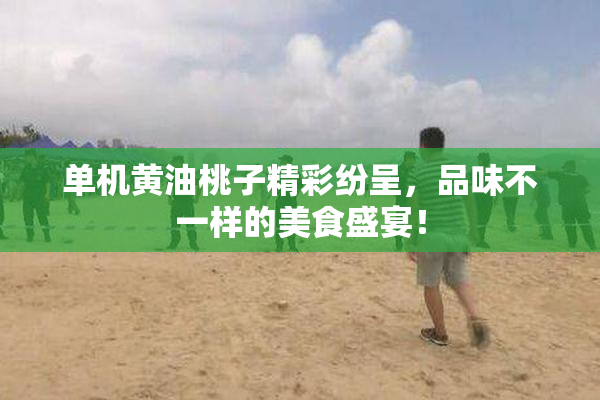 单机黄油桃子精彩纷呈，品味不一样的美食盛宴！