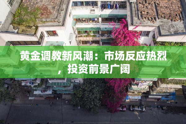 黄金调教新风潮：市场反应热烈，投资前景广阔