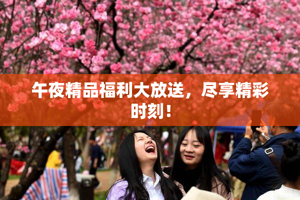 午夜精品福利大放送，尽享精彩时刻！