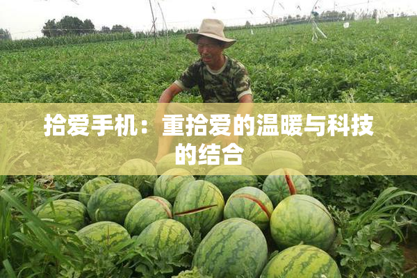 拾爱手机：重拾爱的温暖与科技的结合