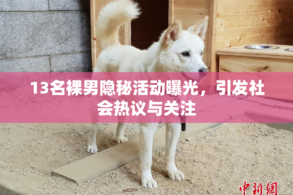 13名裸男隐秘活动曝光，引发社会热议与关注