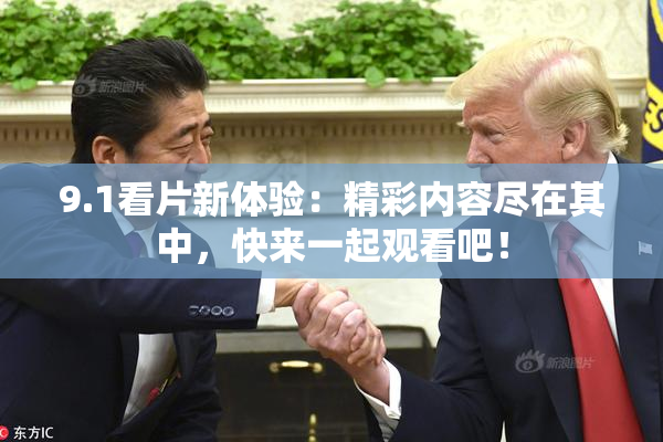9.1看片新体验：精彩内容尽在其中，快来一起观看吧！