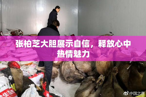 张柏芝大胆展示自信，释放心中热情魅力