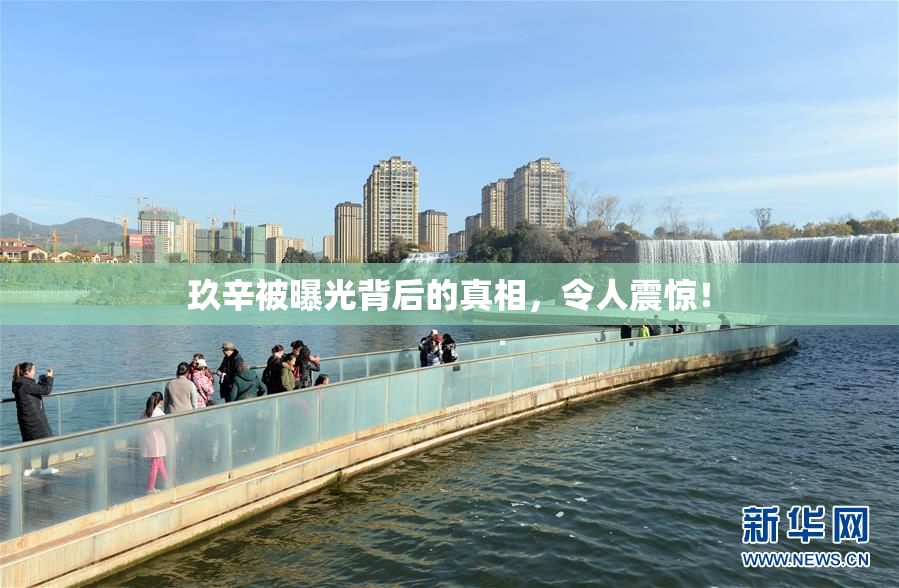玖辛被曝光背后的真相，令人震惊！