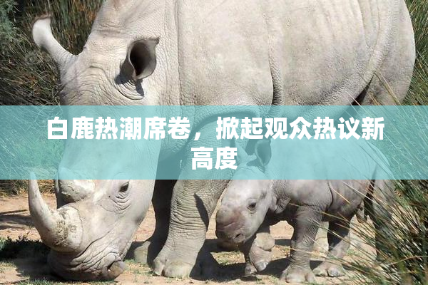 白鹿热潮席卷，掀起观众热议新高度