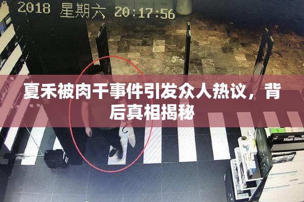 夏禾被肉干事件引发众人热议，背后真相揭秘