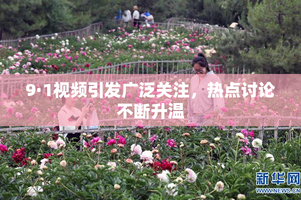 9·1视频引发广泛关注，热点讨论不断升温