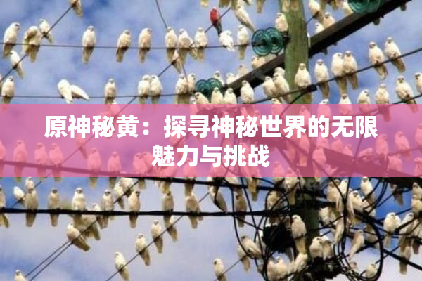 原神秘黄：探寻神秘世界的无限魅力与挑战
