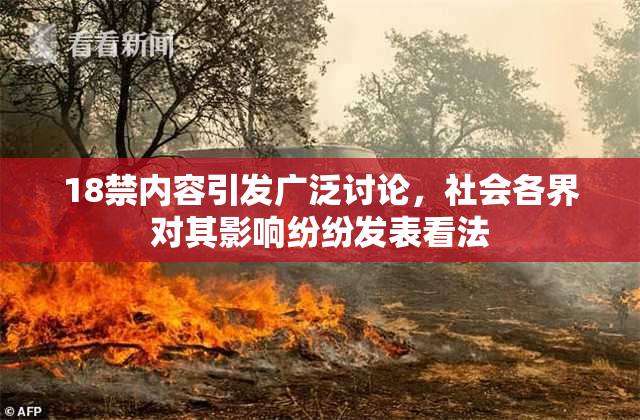 18禁内容引发广泛讨论，社会各界对其影响纷纷发表看法