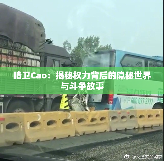 暗卫Cao：揭秘权力背后的隐秘世界与斗争故事