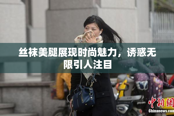 丝袜美腿展现时尚魅力，诱惑无限引人注目