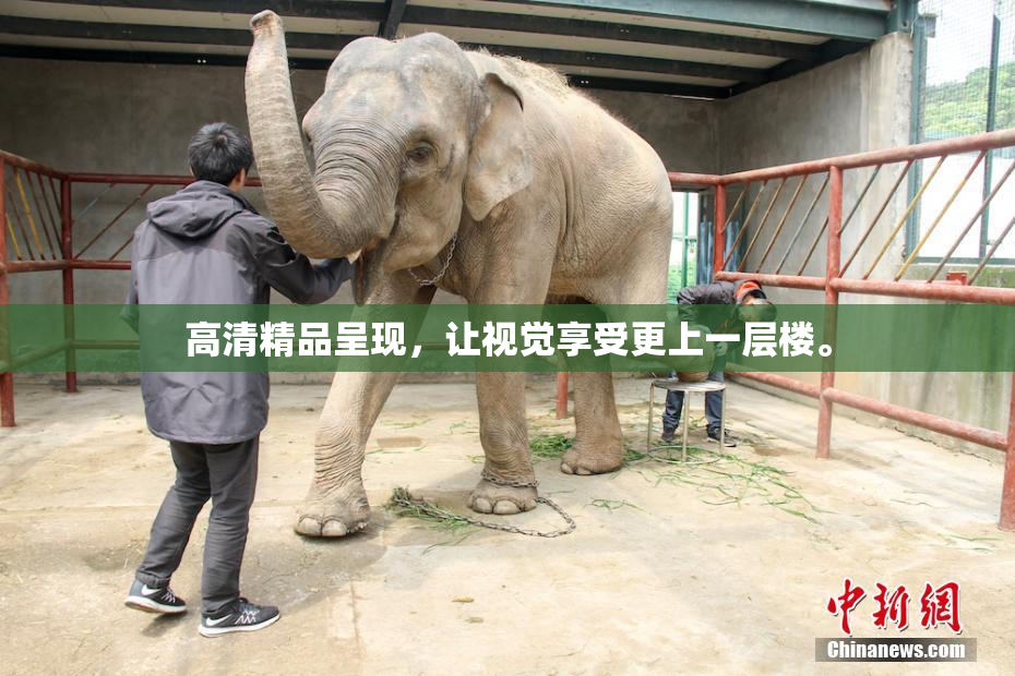 高清精品呈现，让视觉享受更上一层楼。
